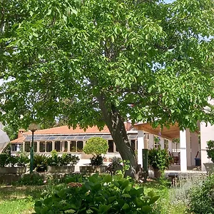 Apartment-rooms Preka Palit